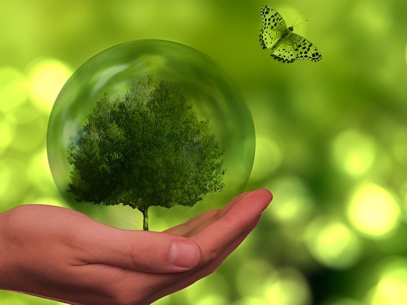 Optez pour une impression éco-responsable !