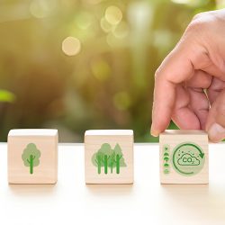 La GED : un atout pour la transition numérique responsable